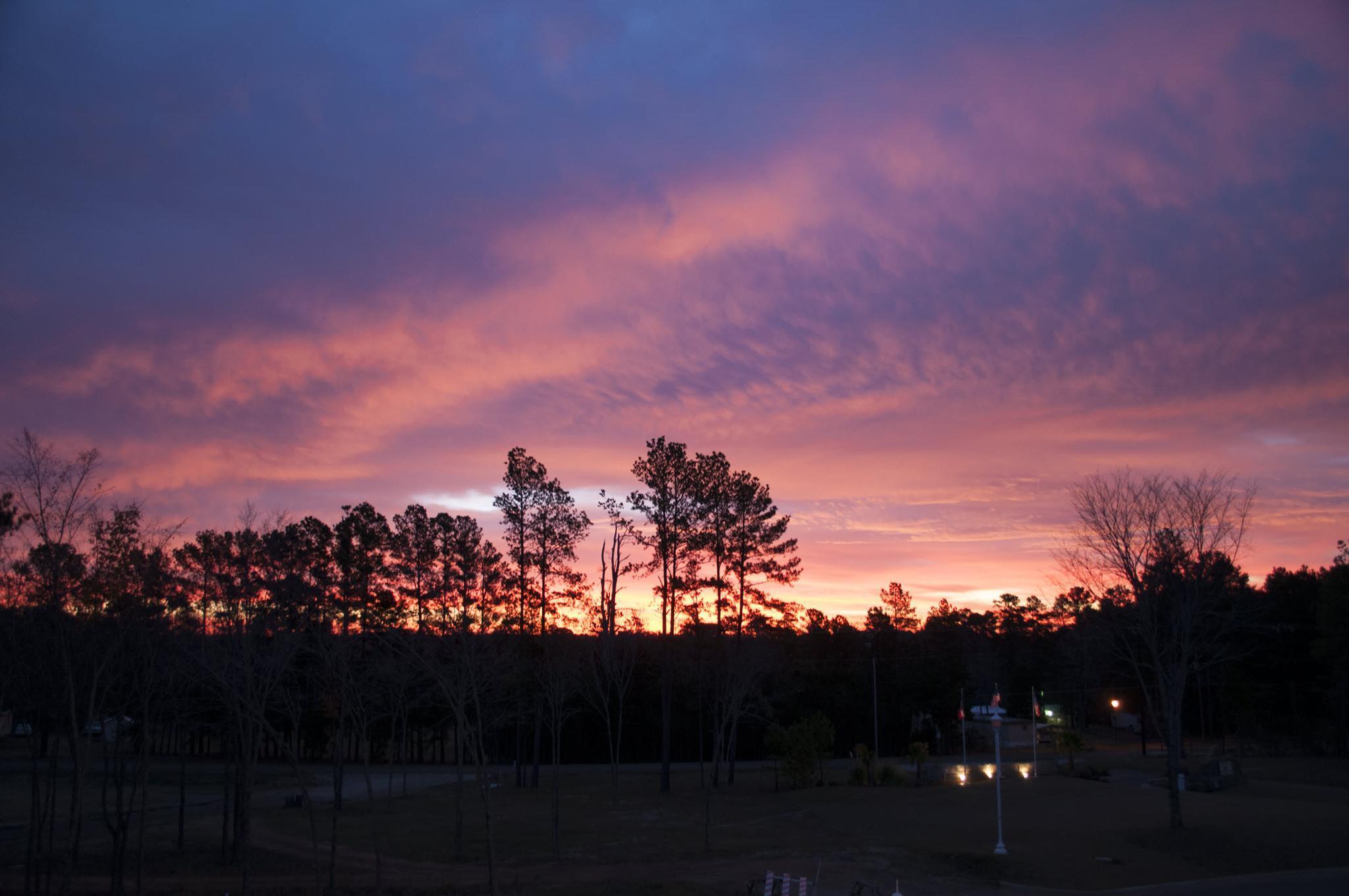 Holiday Inn Club Vacations Villages Resort At Lake Palestine Flint Exterior foto